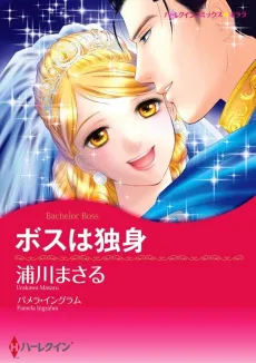Bachelor Boss cover