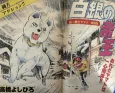 Hakugin no Teiou cover