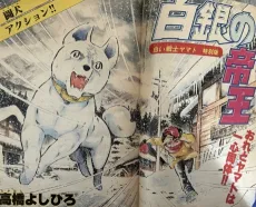 Hakugin no Teiou cover