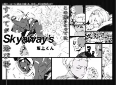 Skyaway's cover