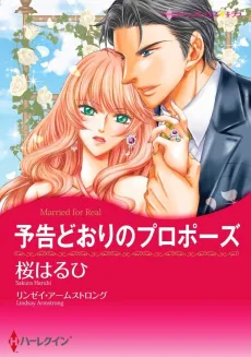 Married for Real cover