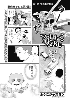 Tsurime Neko to Dame Oji cover