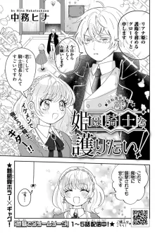 Hime wa Kishi wo Mamoritai cover