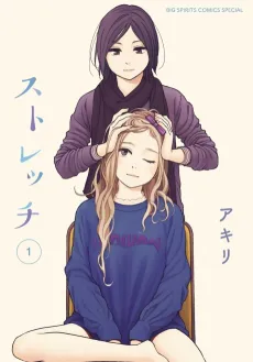 Stretch cover