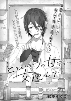 Tobikiri no Amasa de Shihai Shite cover