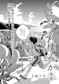 Iromeku Sumi ka cover