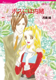 The Boss and His Secretary cover