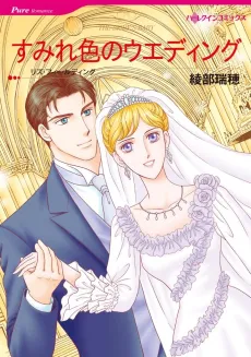 The Bride's Baby cover
