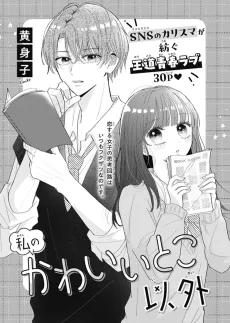 Watashi no Kawaii Toko Igai cover