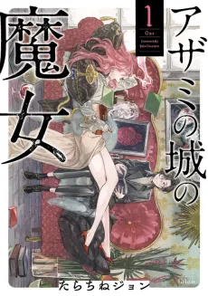 Witch of Thistle Castle cover