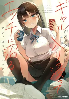 Gyaru ga Otaku no Ie ni Iribitatte Ecchi ni Numaru Anthology Comic cover