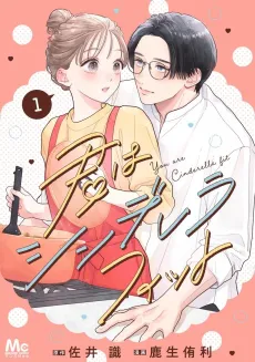 Kimi wa Cinderella Fit cover