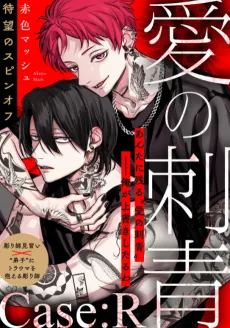 Ai no Irezumi: Case:R cover