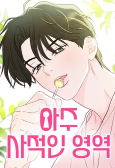 Aju Sajeogin Yeongyeok cover