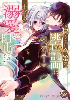 The Lady Who Takes On Injuries Can't Escape the Prince's Doting Love cover
