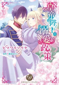The Emperor's Strategy of Adoration cover