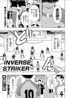 INVERSE STRIKER cover