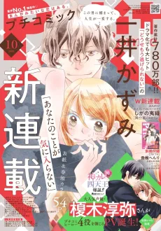 Anata no Koto ga Kiniiranai cover