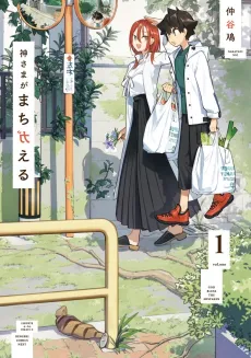 God Bless the Mistaken cover