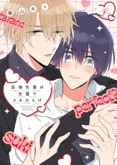Takane-senpai wa Kanpeki de Suki-darake cover