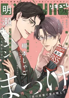 Kimi no Kotoba de Ai wo Oshiete cover