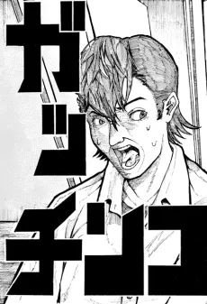 Gacchinko cover