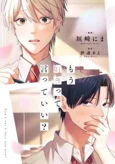 Mou Suki tte Itte Ii? cover