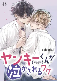 Yankee-kun ga Nakasareru Wake cover