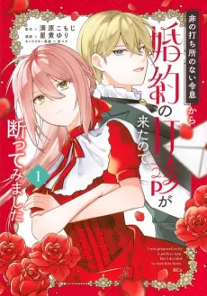 Hinouchi Dokoro no Nai Reisoku kara Konyaku no Dashin ga Kitanode, Kotowatte Mimashita cover