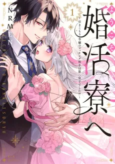 Youkoso Konkatsu Ryou e: Hikikomori Reijou no Matching Aite wa Dai ni Ouji Deshita!? cover
