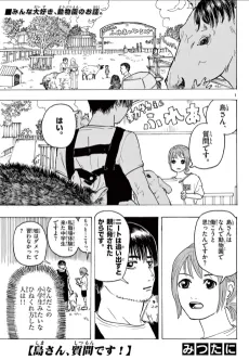 Shima-san, Shitsu desu! cover