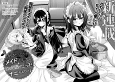 Sukidatta Ko wo Maid ni Shitara, Ore no Heya de Kossori Nanika Shiteiru cover