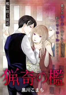 Ryouki no Ori cover