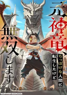 Moto Shinryuu, Chippoke na Ningen ni Tensei Shita kedo Musou Shimasu cover