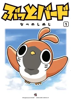 Butto Bird cover