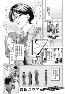 17-sai cover