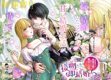 Seppun Shitara Soku Kekkon!? Konyaku Haki Sareta Kusushi Reijou ga Tasuketa no wa Ringoku no Koutei deshita cover