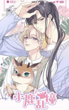Deer Flutter cover