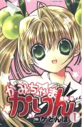 Kamichama Karin cover