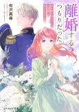 Rikon Suru Tsumori datta. cover