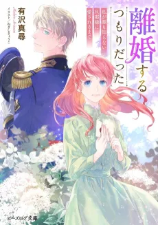 Rikon Suru Tsumori datta. cover