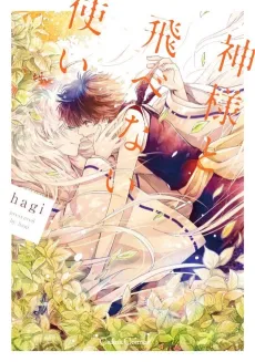 The God and the Flightless Messenger cover