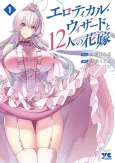 The Erotical Wizard and His Twelve Brides cover