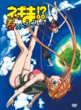 Negima!? Magister Negi Magi: Spring cover