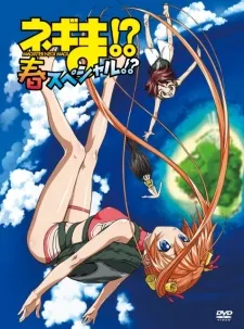 Negima!? Magister Negi Magi: Spring cover
