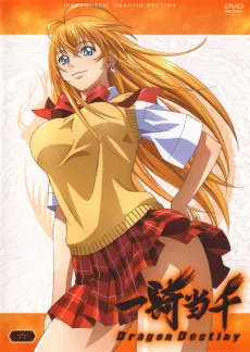Ikkitousen: Dragon Destiny Sekiheki Onsen Daikessen cover