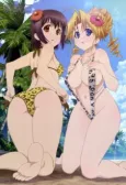 Ladies versus Butlers! Tokuten Disc Music Clip cover