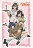 Strawberry 100% cover