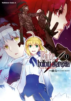 Fate/hollow ataraxia cover