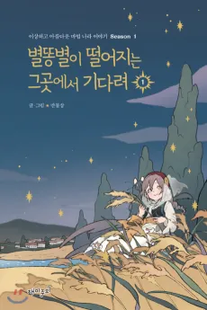 Wait Where the Shooting Star Falls cover
